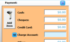 2. Payment Panel